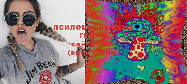мет Майский