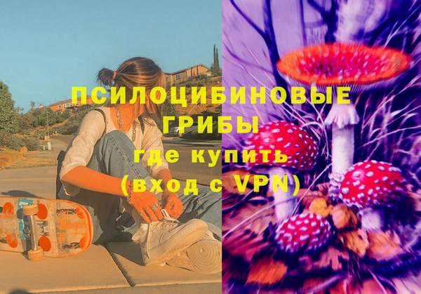 ПСИЛОЦИБИНОВЫЕ ГРИБЫ Магадан