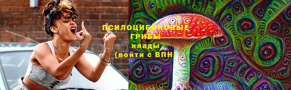 ПСИЛОЦИБИНОВЫЕ ГРИБЫ Магадан