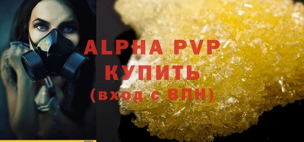 дживик Долгопрудный