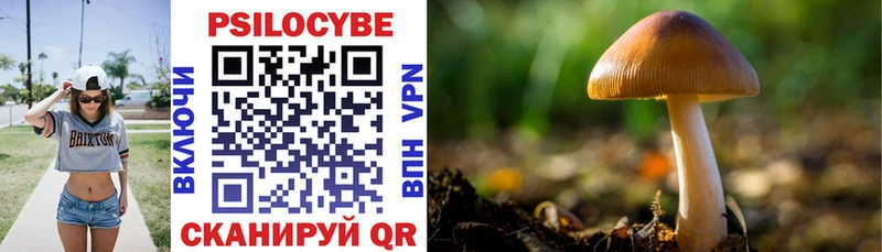 Галлюциногенные грибы прущие грибы  где купить   kraken сайт  Усмань 