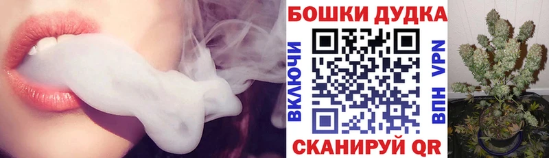 Бошки Шишки план  Усмань 